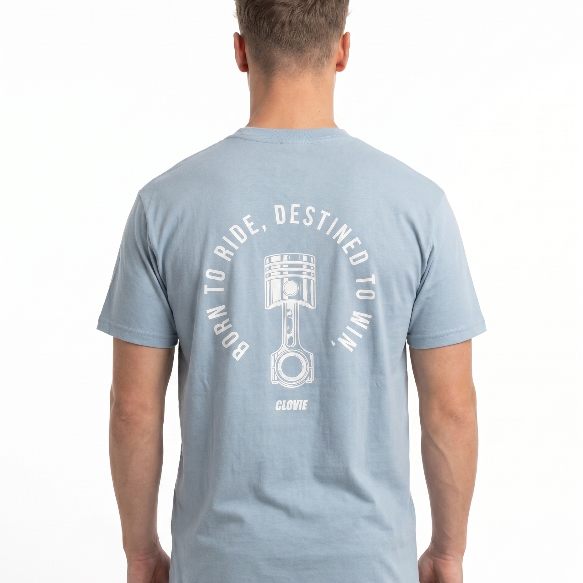 btr back chambray