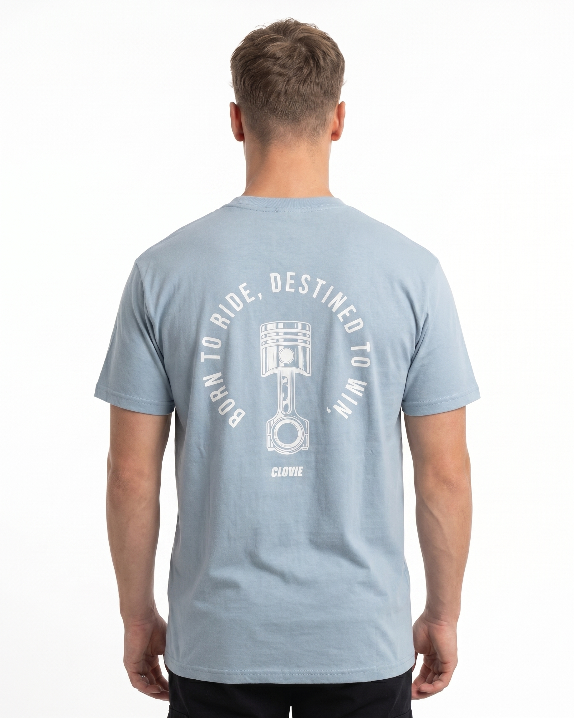 btr back chambray