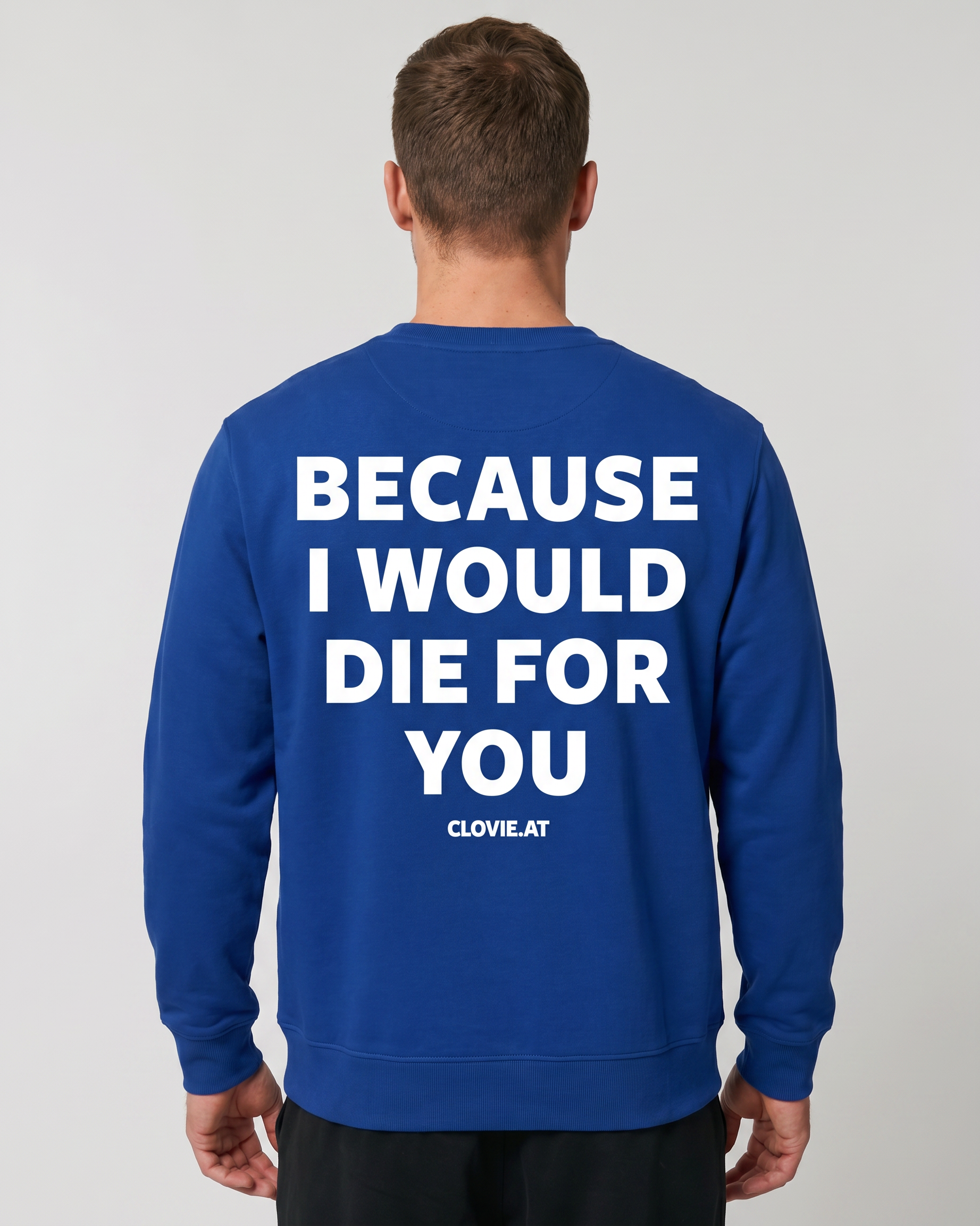Die for you Sweater Royal Back