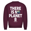 There is no planet b - Sweater