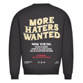 More haters wanted - Sweater