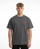 Sex is cool washed Tee Asphalt - model front