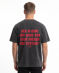 Sex is cool washed Tee Asphalt - model back print