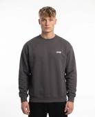 Mercedes-AMG GT Sweater Asphalt - model front