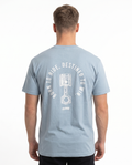 btr back chambray
