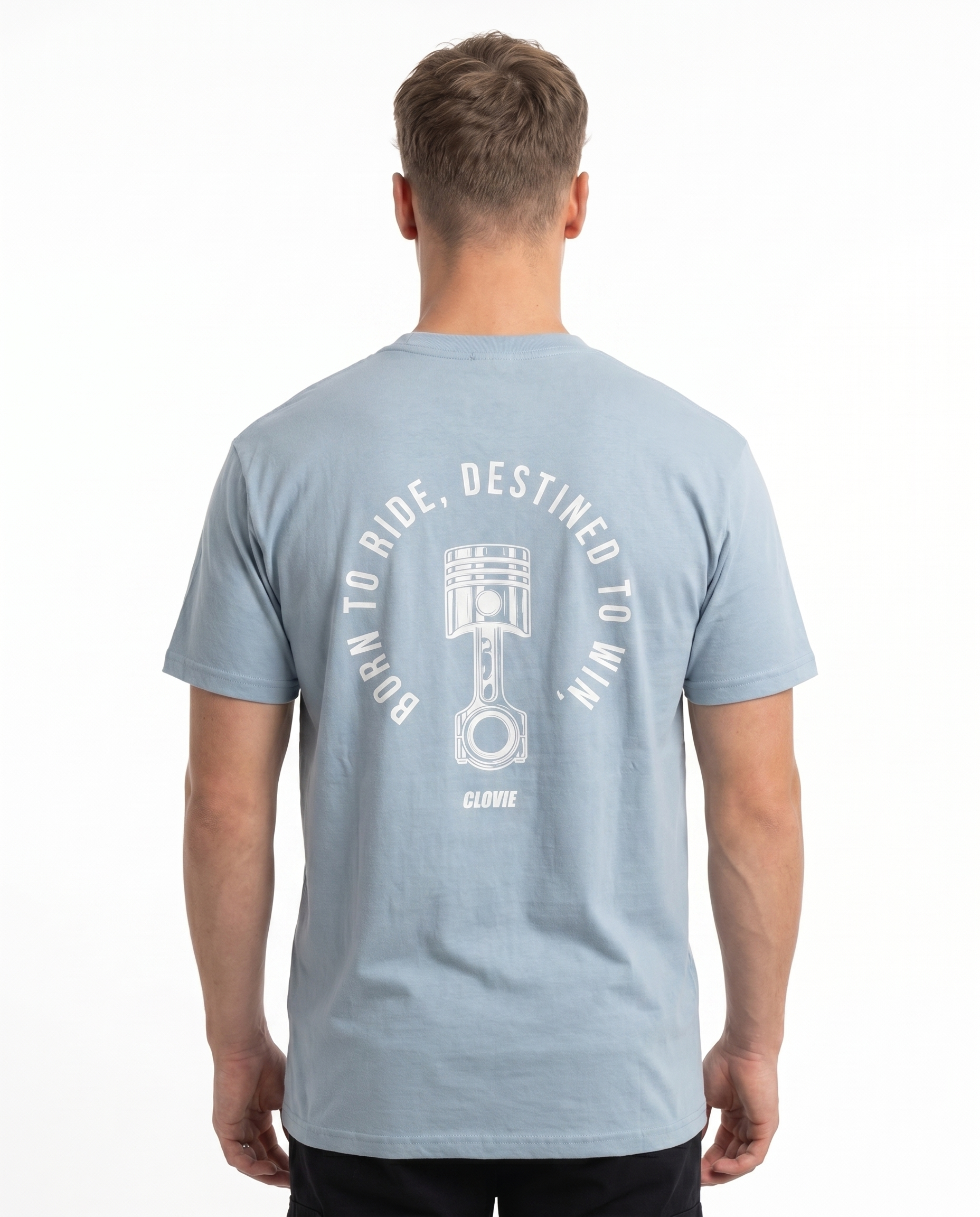 btr back chambray
