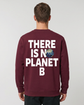 Planet B Sweater Burgundy Back